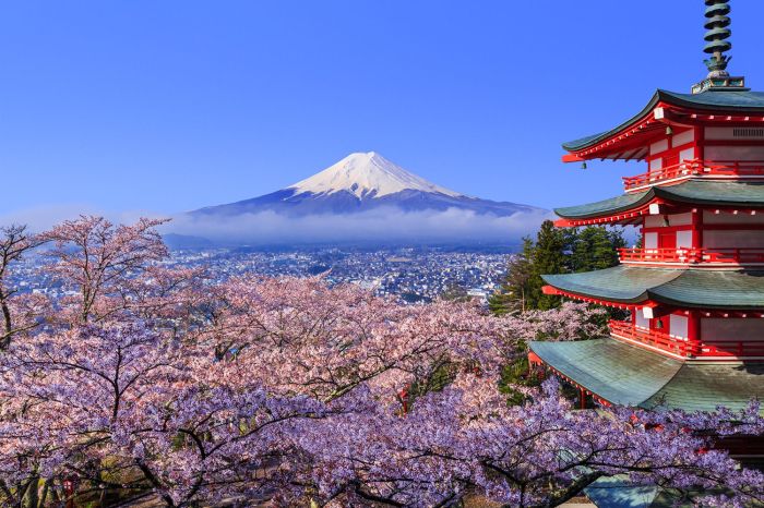 Best time to visit japan